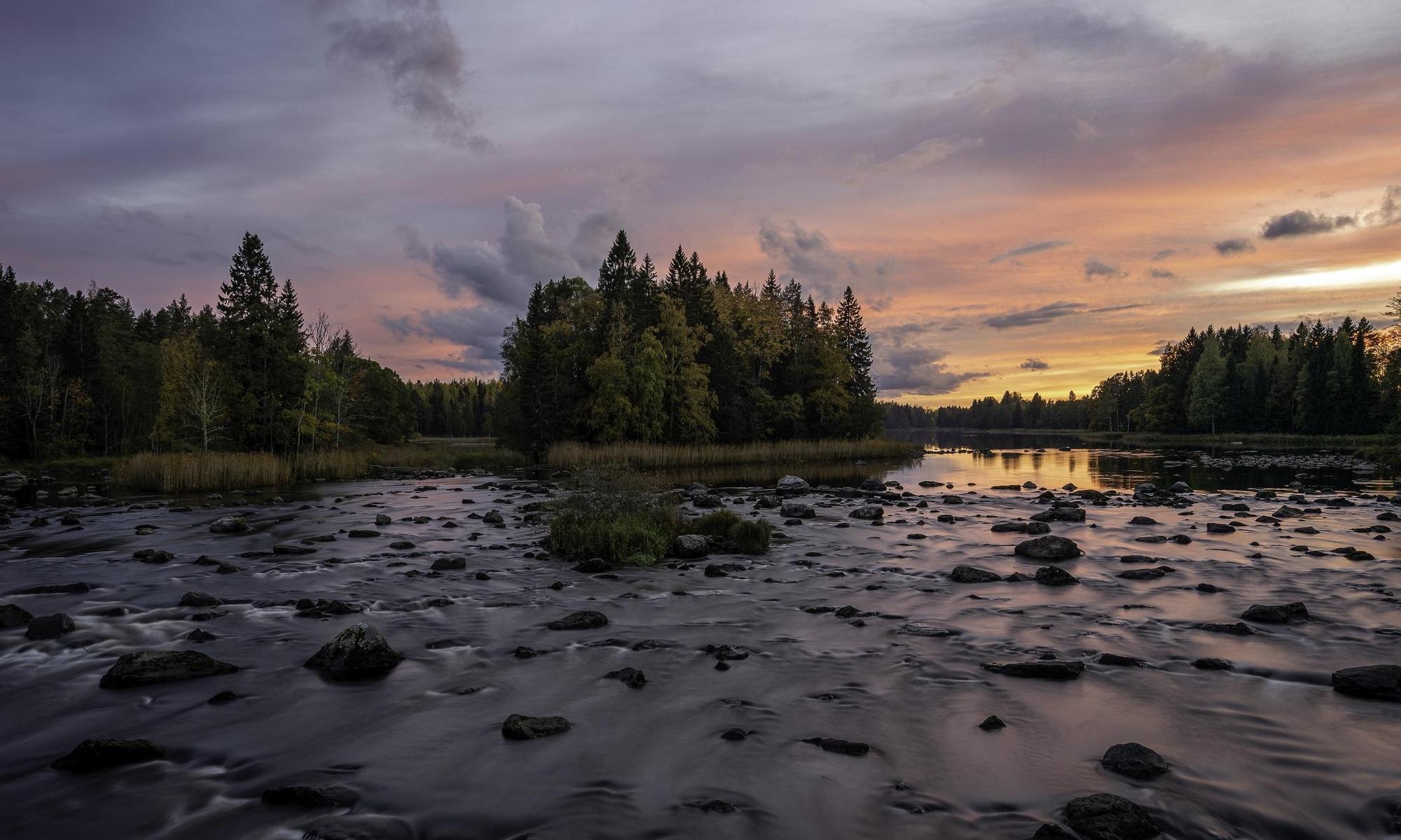 Färnebofjärden