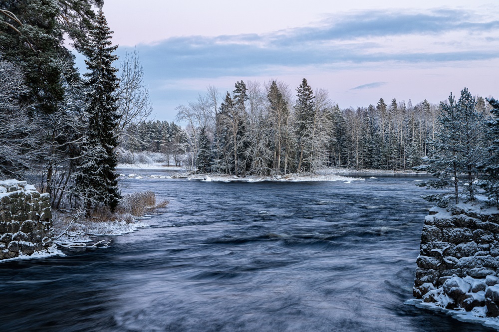 Färnebofjärden