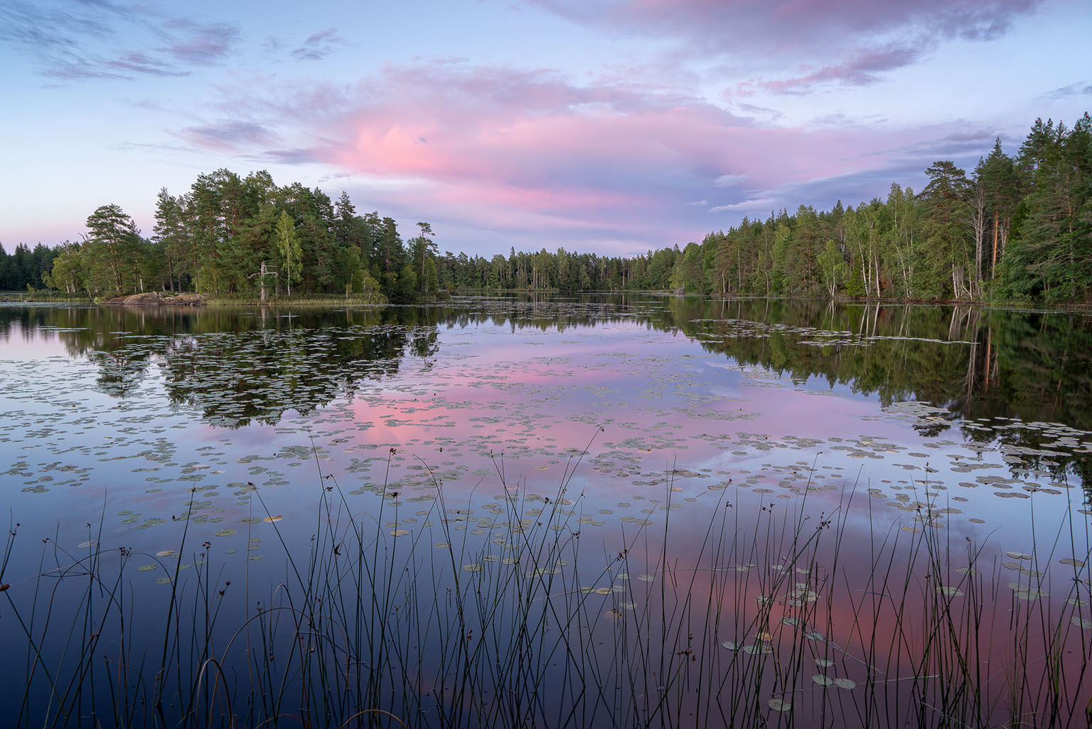 En sjö med rosa himmel. 